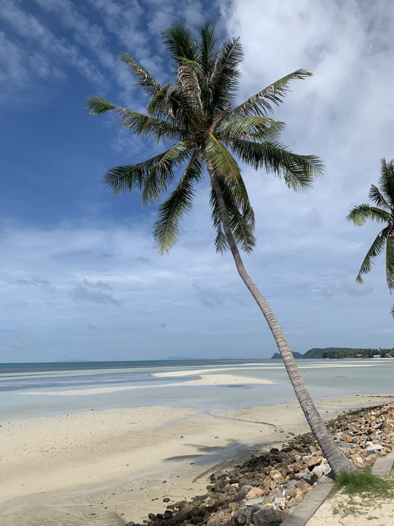 Tajlandia, dwie twarze Koh Phangan, dżungla i Full Moon Parties