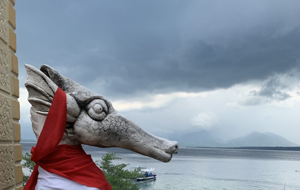 Pulau Menjangan, Zachodnie Bali